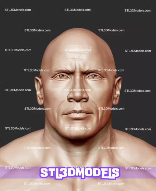 The Rock Bust STL 3D Model 