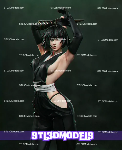 Soi Fon NSFW and SFW STL Model